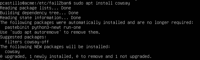 Debian installation screenshot